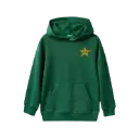 Pakistan Cricket Hoodie